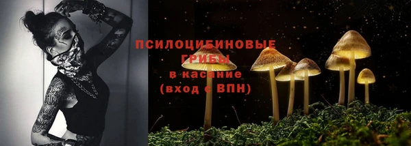 скорость Алексин