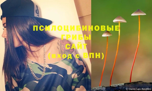 скорость Алексин