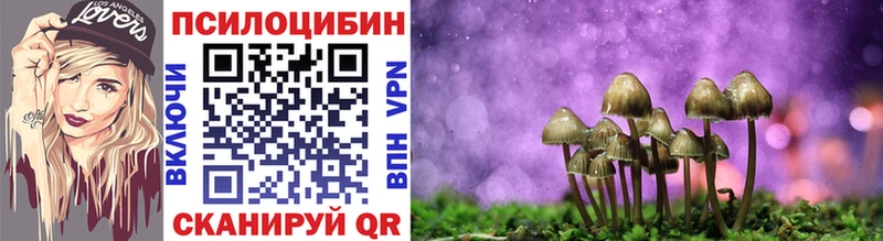 где найти   Николаевск  Псилоцибиновые грибы ЛСД 