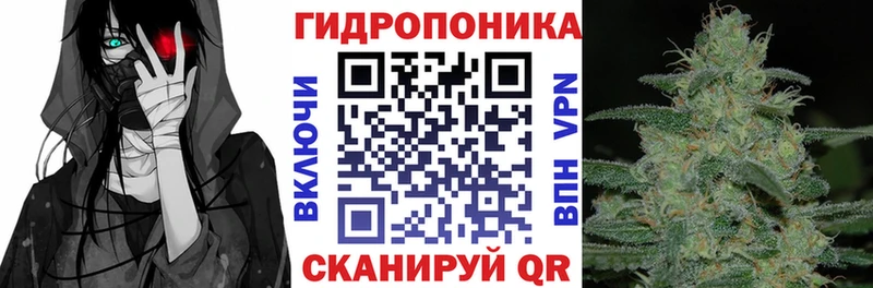 сколько стоит Николаевск kraken как зайти Шишки марихуана White Widow